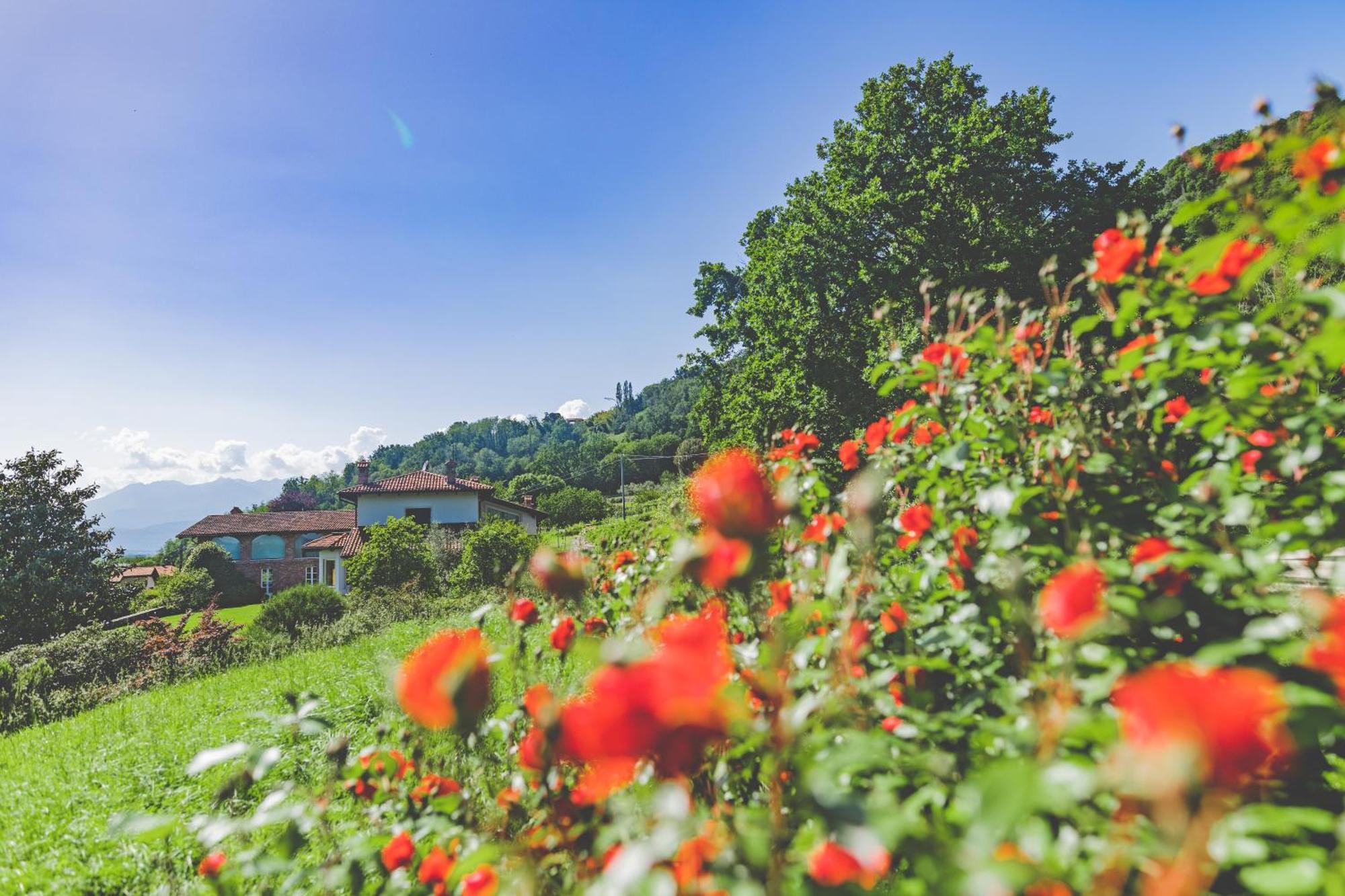 Myvilla Suites Palazzo Canavese Exterior photo