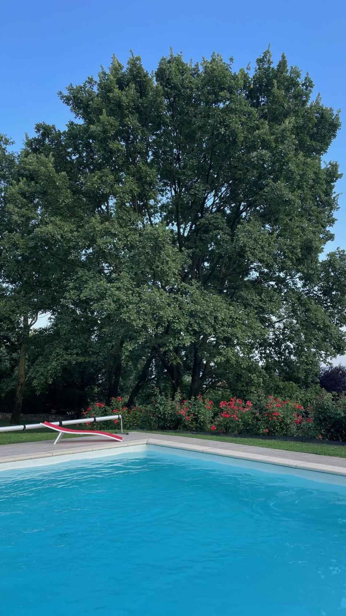 Myvilla Suites Palazzo Canavese Exterior photo